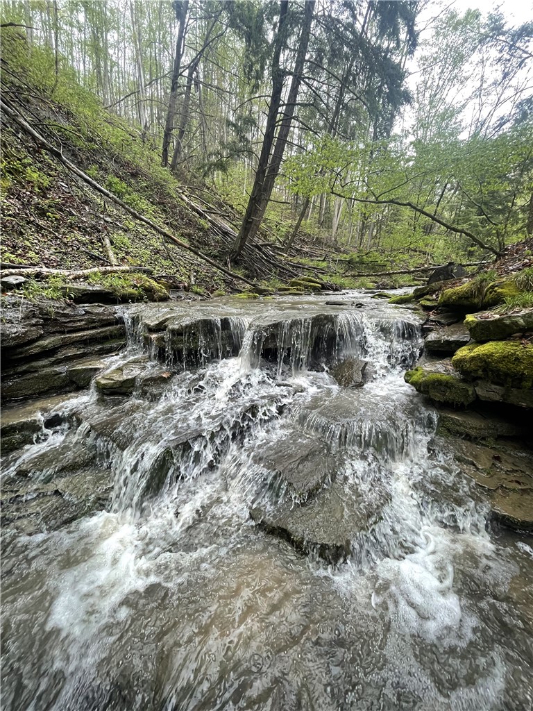 0 Ruttin Road Scio, NY 14880 - Photo 3 of 29