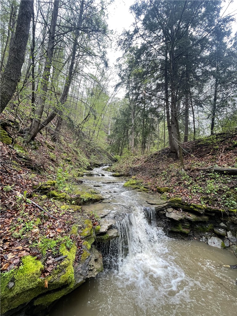 0 Ruttin Road Scio, NY 14880 - Photo 4 of 29