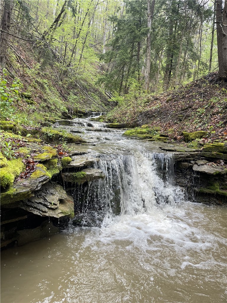 0 Ruttin Road Scio, NY 14880 - Photo 5 of 29