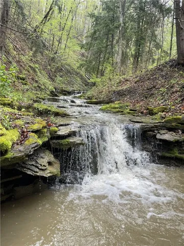 $159,900 | 0 Ruttin Road, Scio, NY 14880