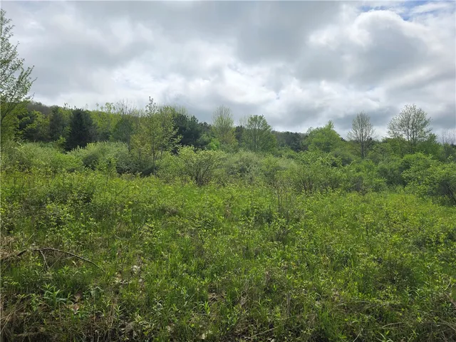 $159,900 | 0 Ruttin Road, Scio, NY 14880