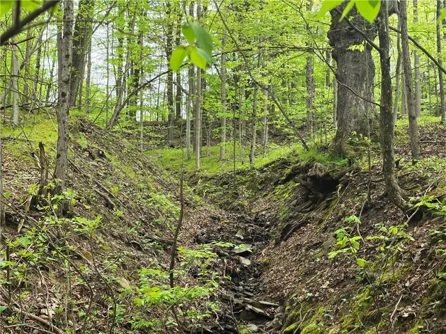 $159,900 | 0 Ruttin Road, Scio, NY 14880