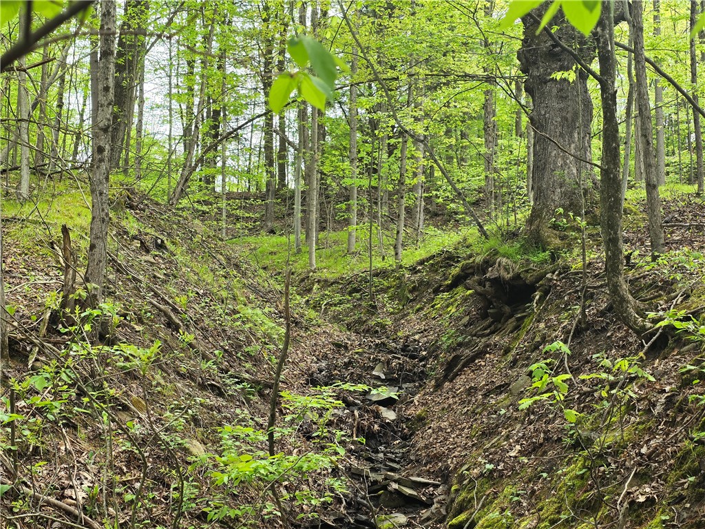 0 Ruttin Road Scio, NY 14880 - Photo 8 of 29