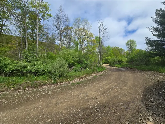 $159,900 | 0 Ruttin Road, Scio, NY 14880