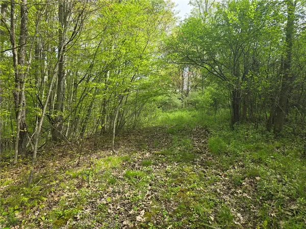 $159,900 | 0 Ruttin Road, Scio, NY 14880
