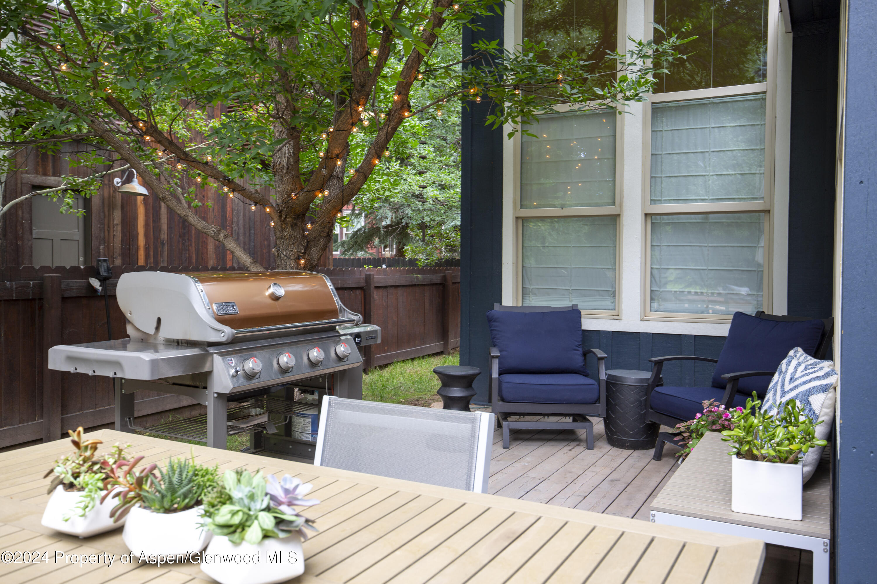 405 Meadow Court Basalt, CO 81621 - Photo 26 of 31 Gourmet Grill