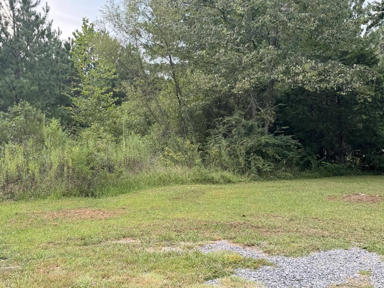 321 Rymer Road Cleveland, TN 37323 - Photo 7 of 12 Gallery Image 7