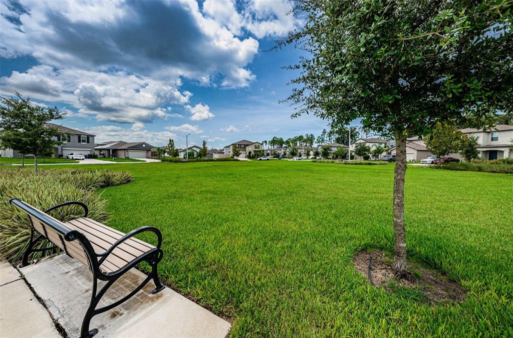 6780 Emerald Spring Loop New Port Richey, FL 34653 - Photo 79 of 83 Gallery Image 79