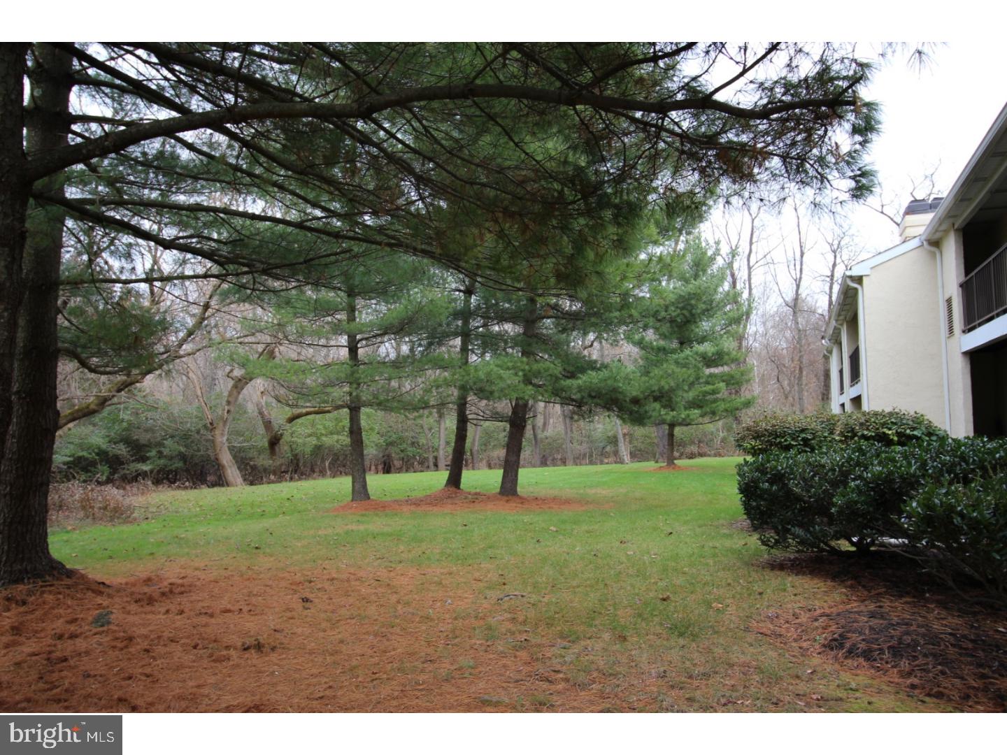 255 Valley Stream Lane Chesterbrook, PA 19087 - Photo 16 of 18 Back Yard