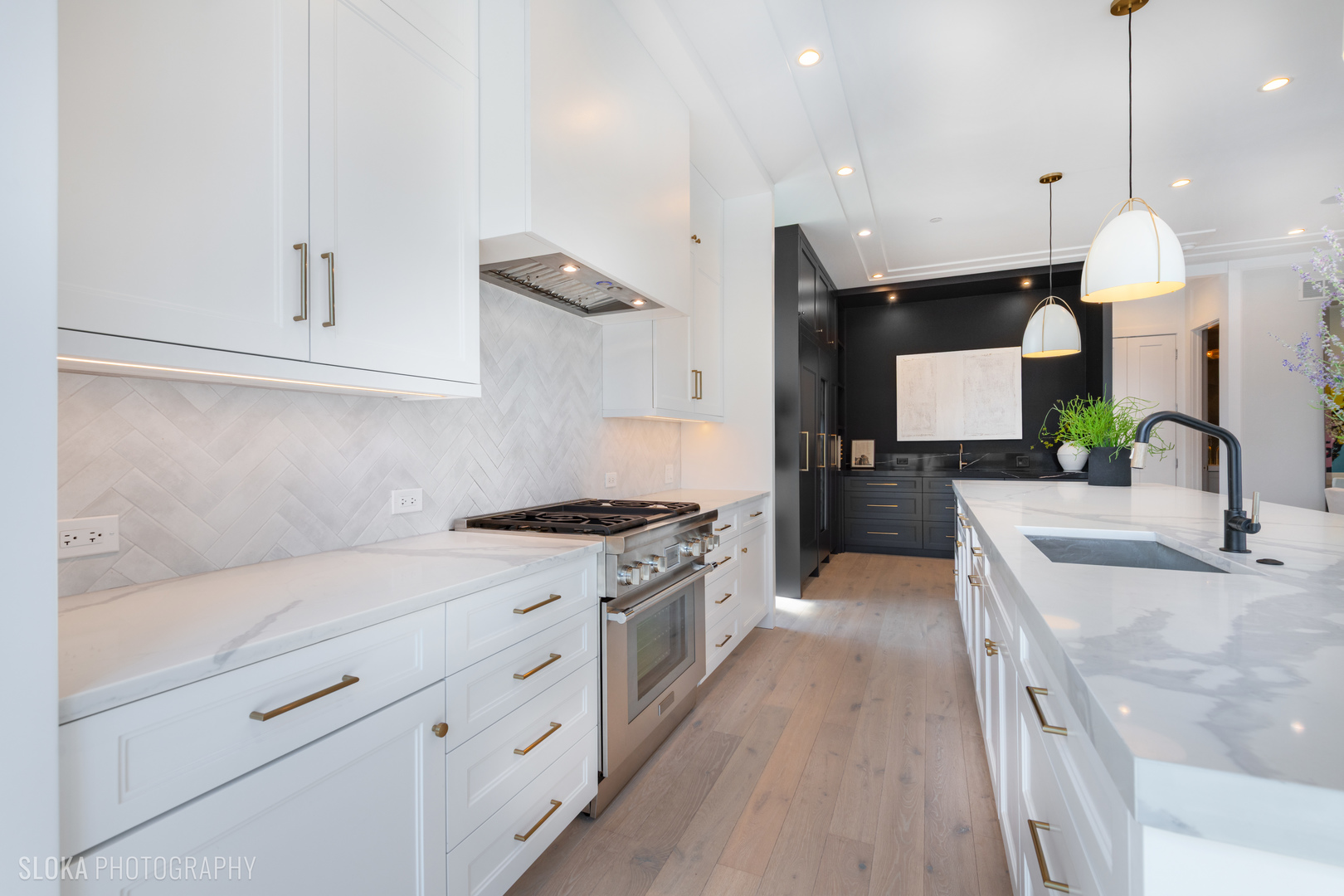 116 North Willard Court, Unit PH01 Chicago, IL 60607 - Photo 35 of 92