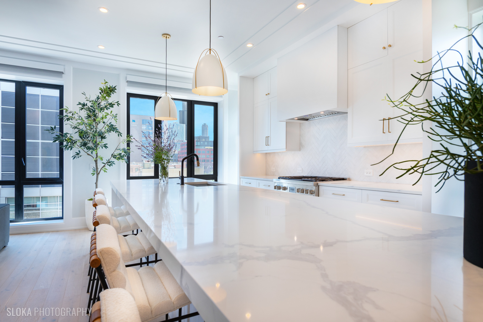 116 North Willard Court, Unit PH01 Chicago, IL 60607 - Photo 37 of 92