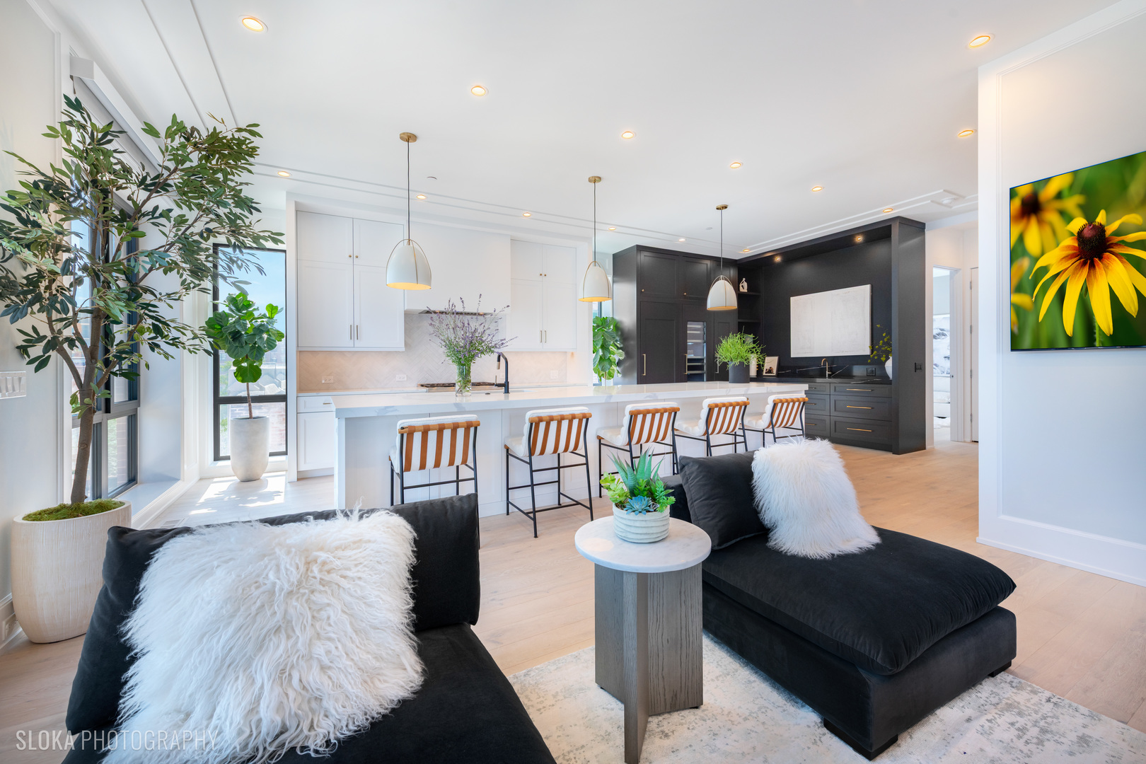 116 North Willard Court, Unit PH01 Chicago, IL 60607 - Photo 6 of 92