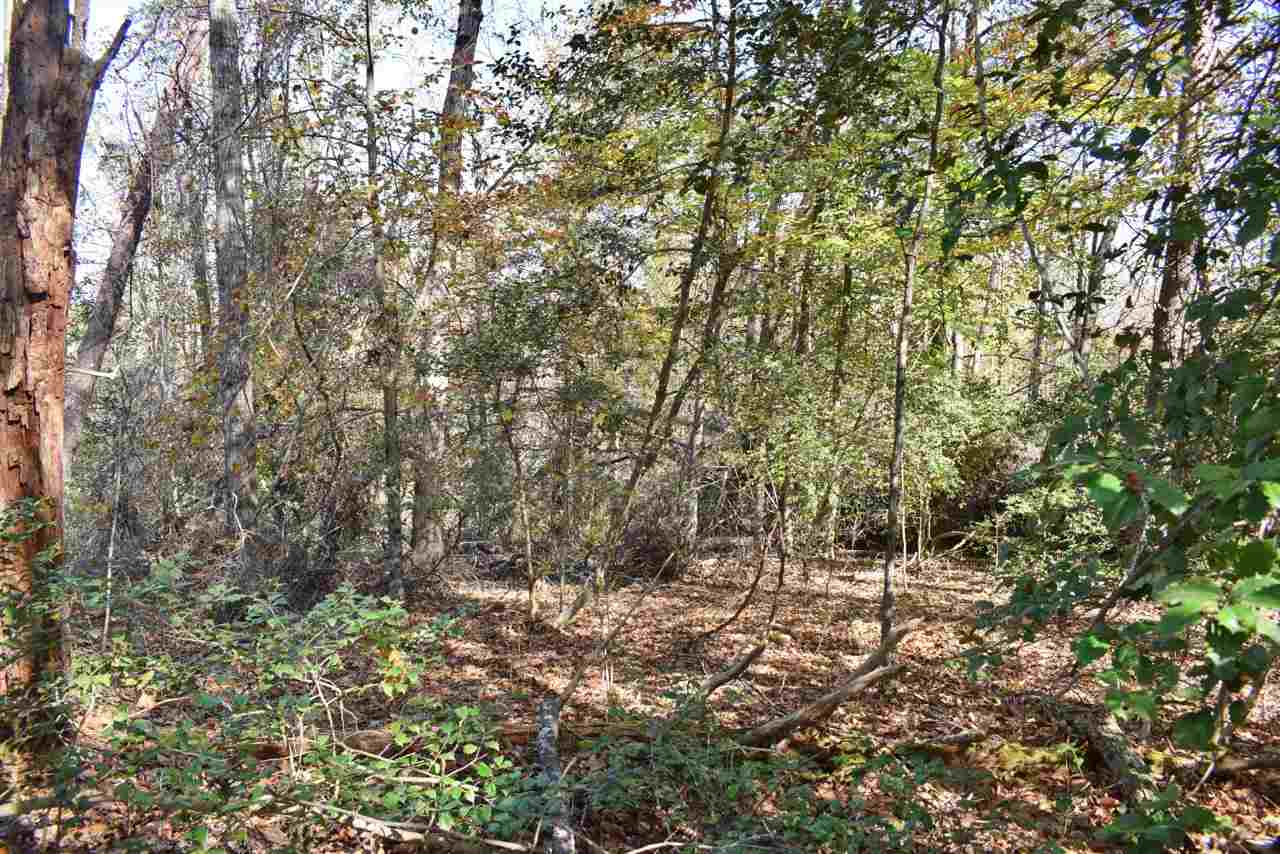 2214 South Blackstock Road Landrum, SC 29356 - Photo 1 of 34 Gallery Image 1