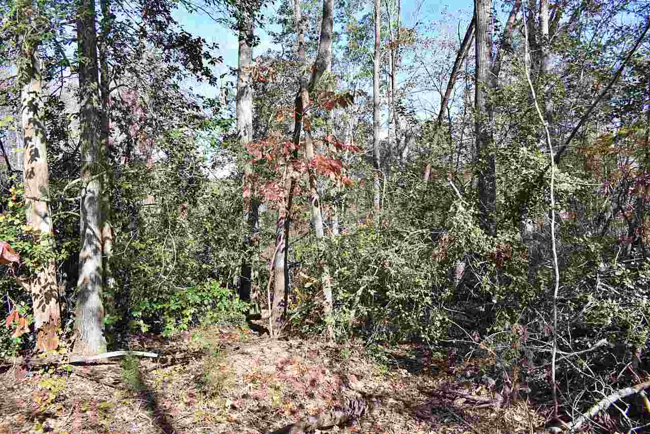 2214 South Blackstock Road Landrum, SC 29356 - Photo 11 of 34 Gallery Image 11