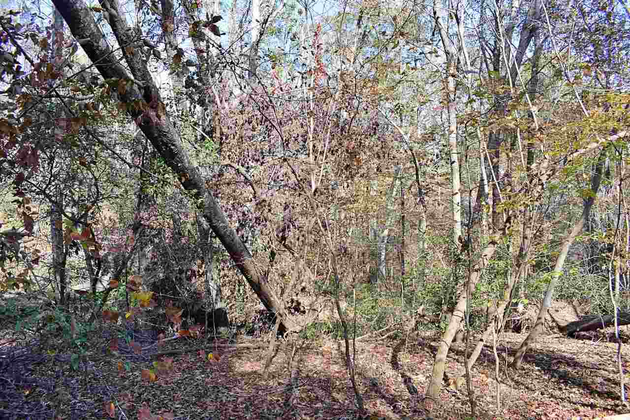 2214 South Blackstock Road Landrum, SC 29356 - Photo 16 of 34 Gallery Image 16