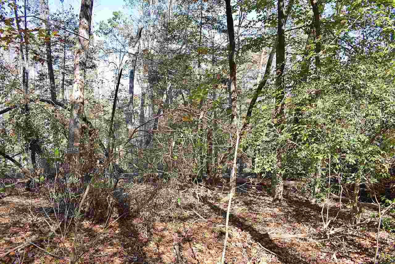 2214 South Blackstock Road Landrum, SC 29356 - Photo 17 of 34 Gallery Image 17