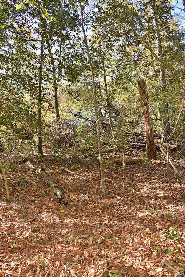2214 South Blackstock Road Landrum, SC 29356 - Photo 20 of 34 Gallery Image 20
