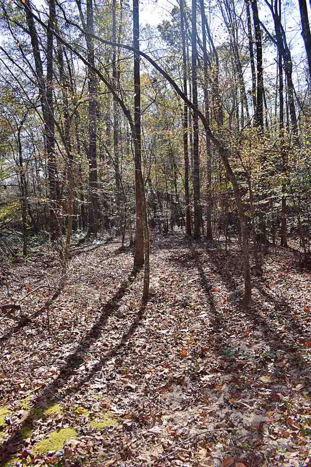 2214 South Blackstock Road Landrum, SC 29356 - Photo 26 of 34 Gallery Image 26