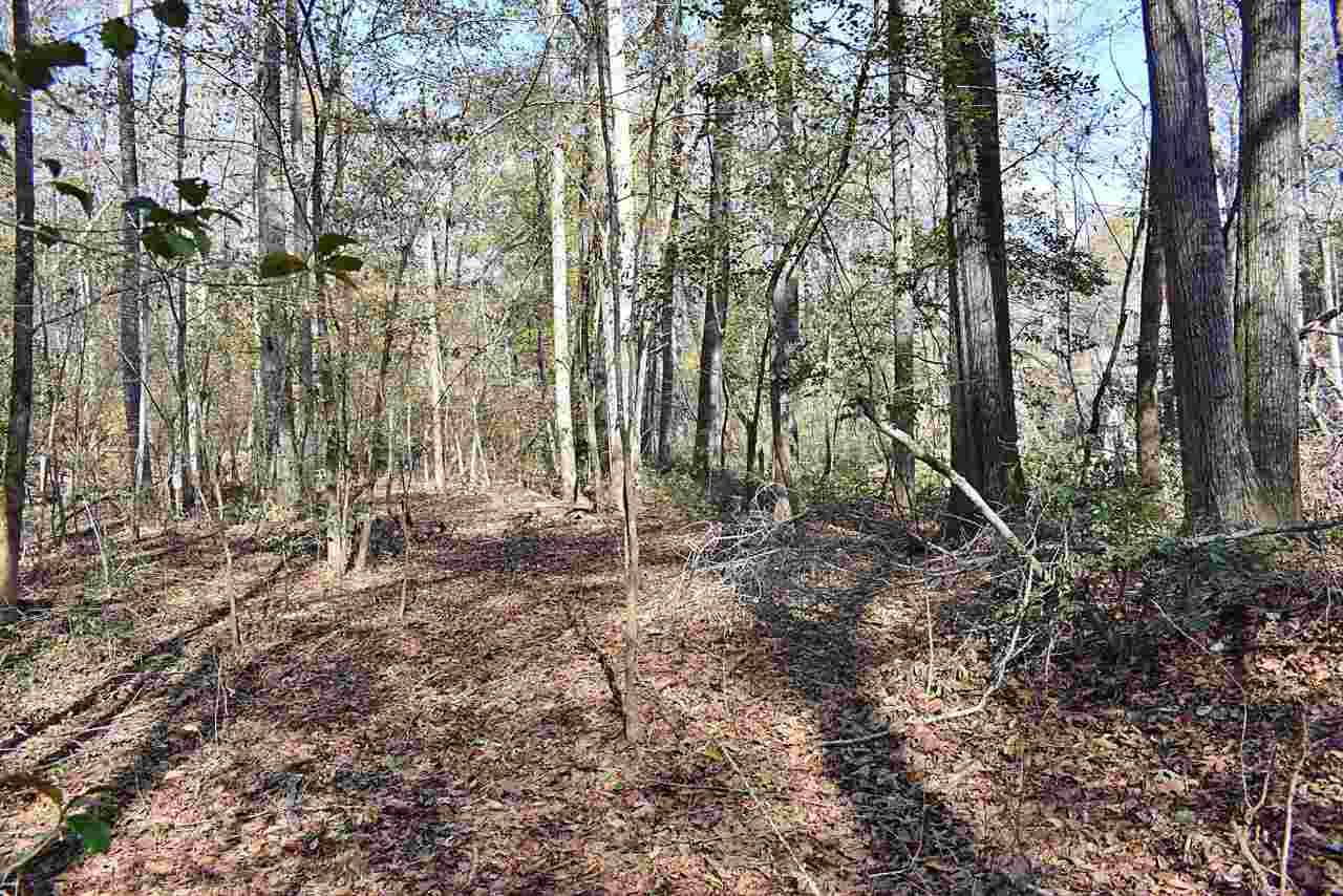 2214 South Blackstock Road Landrum, SC 29356 - Photo 3 of 34 Gallery Image 3