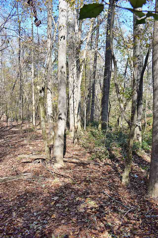 2214 South Blackstock Road Landrum, SC 29356 - Photo 4 of 34 Gallery Image 4
