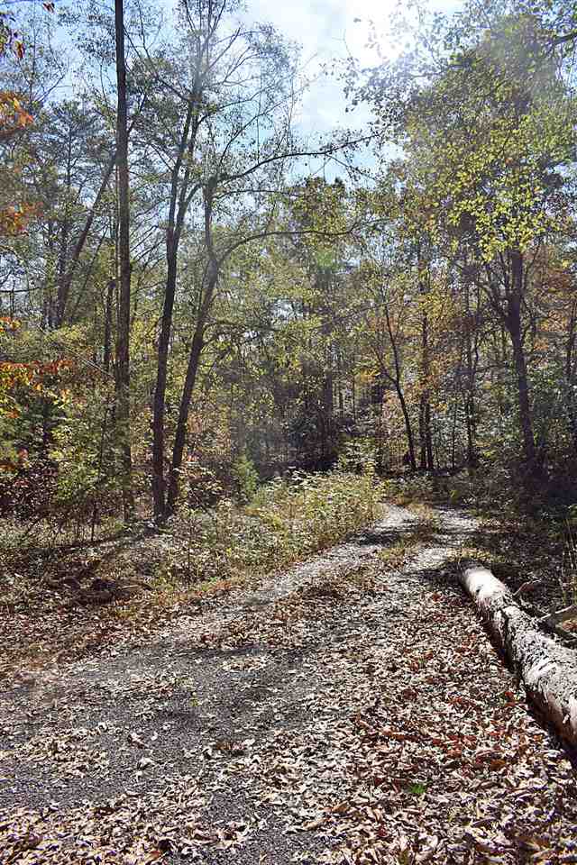 2214 South Blackstock Road Landrum, SC 29356 - Photo 5 of 34 Gallery Image 5