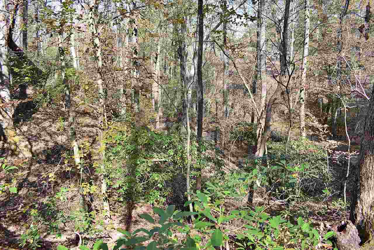 2214 South Blackstock Road Landrum, SC 29356 - Photo 10 of 34 Gallery Image 10