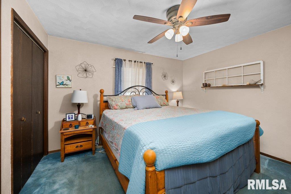 1150 Mark Street Colona, IL 61241 - Photo 9 of 32 Gallery Image 9