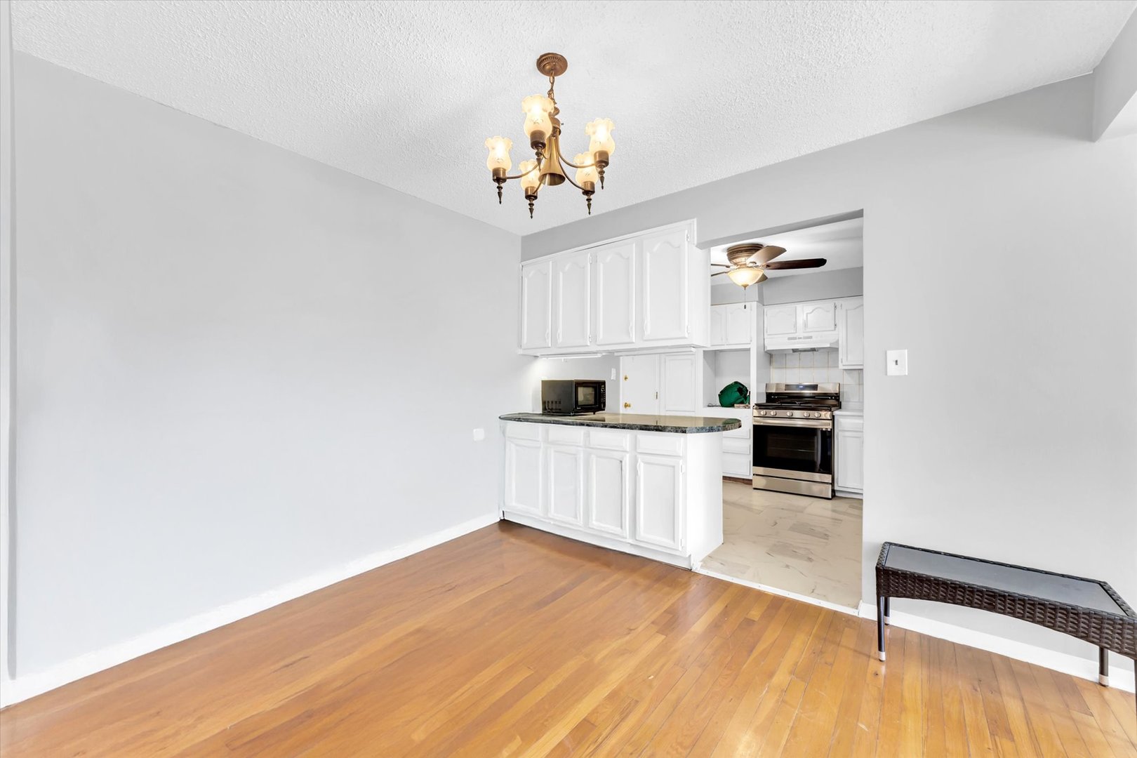 9205 Potter Road, Unit 1C Des Plaines, IL 60016 - Photo 5 of 18