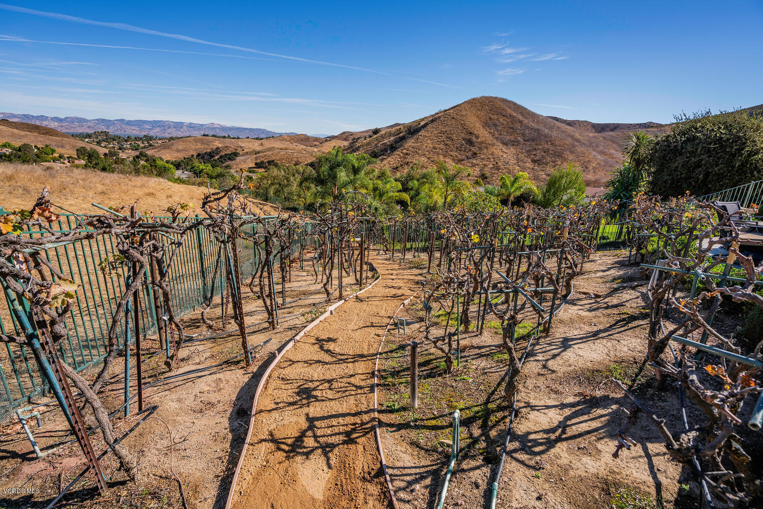 477 Vineyard Drive Simi Valley, CA 93065 - Photo 65 of 65 a view of a city with mountains in the background