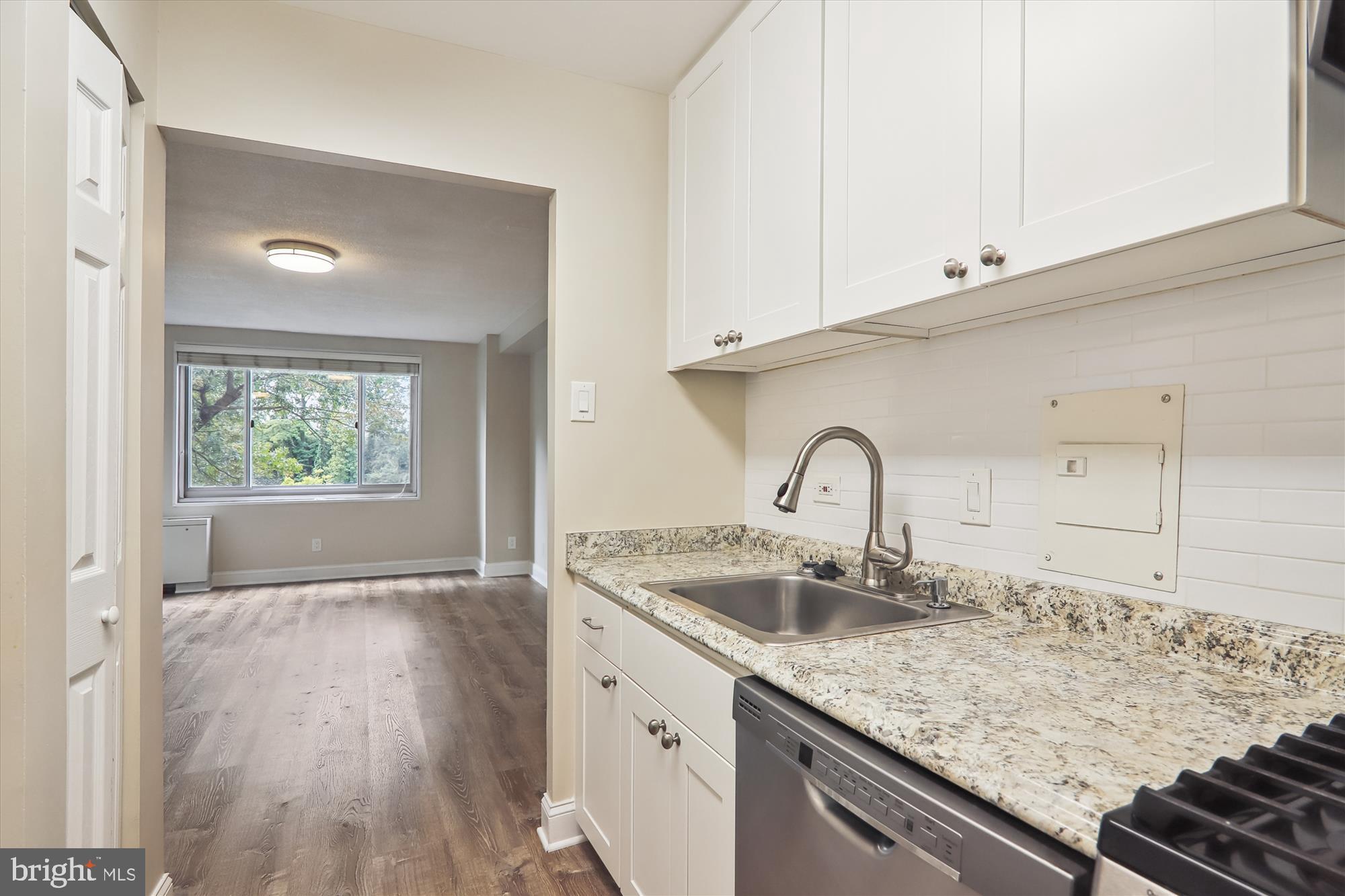 1900 Lyttonsville Road, Unit 310 Silver Spring, MD 20910 - Photo 14 of 48 Kitchen