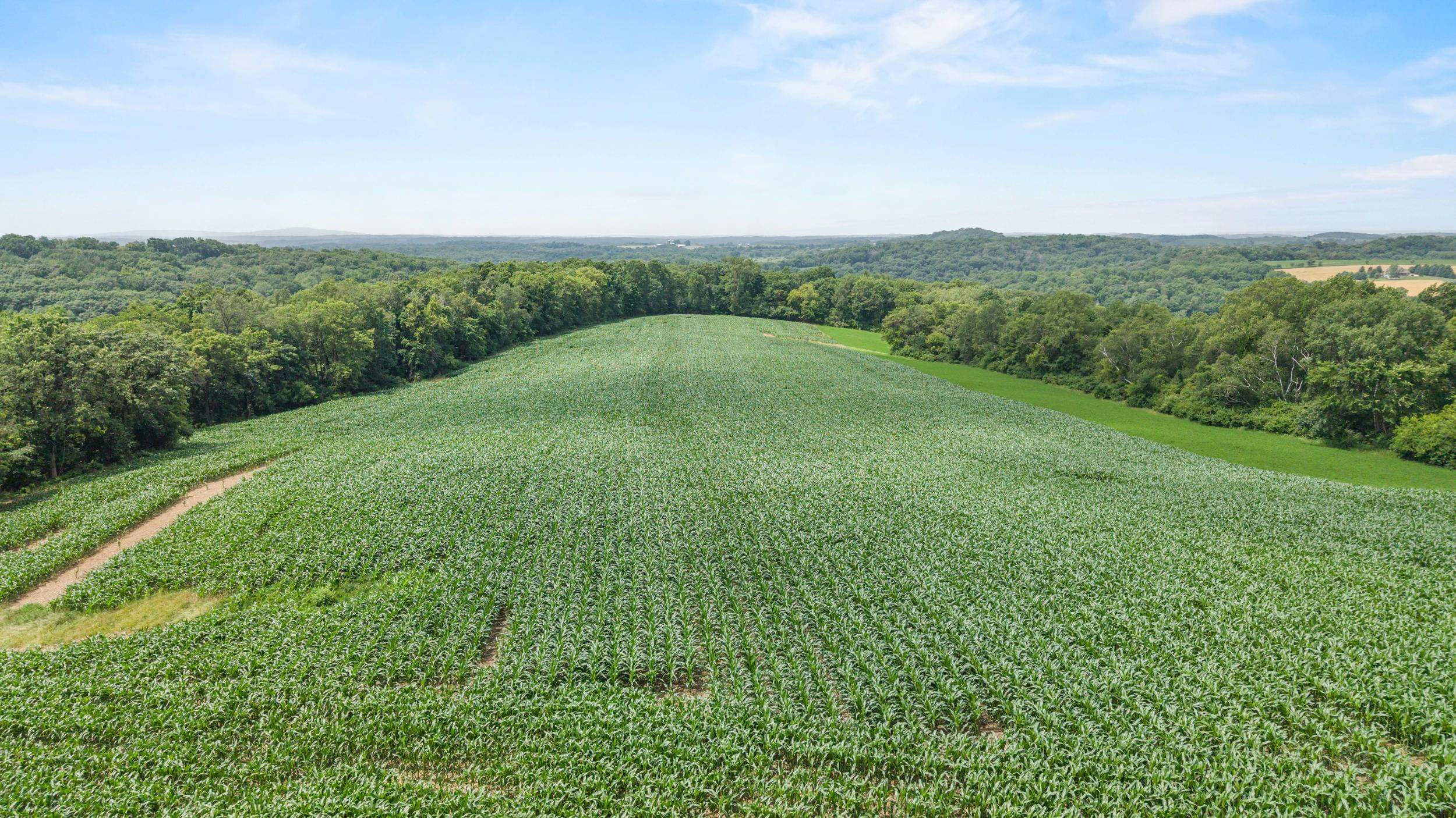 146-acres Otto Kerl Road Cross Plains, WI 53528 - Photo 14 of 20