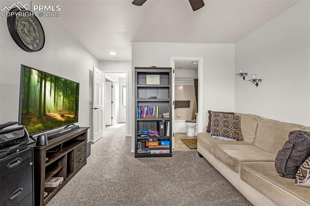 342 Mission Hill Way Colorado Springs, CO 80921 - Photo 25 of 37 a living room with furniture and a flat screen tv