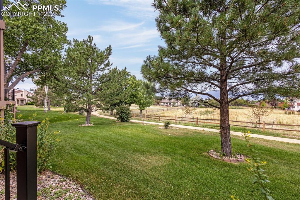342 Mission Hill Way Colorado Springs, CO 80921 - Photo 32 of 37 a view of a park with large trees