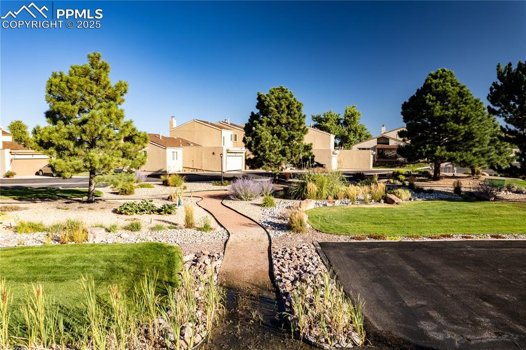 342 Mission Hill Way Colorado Springs, CO 80921 - Photo 7 of 37 a view of a swimming pool with a yard