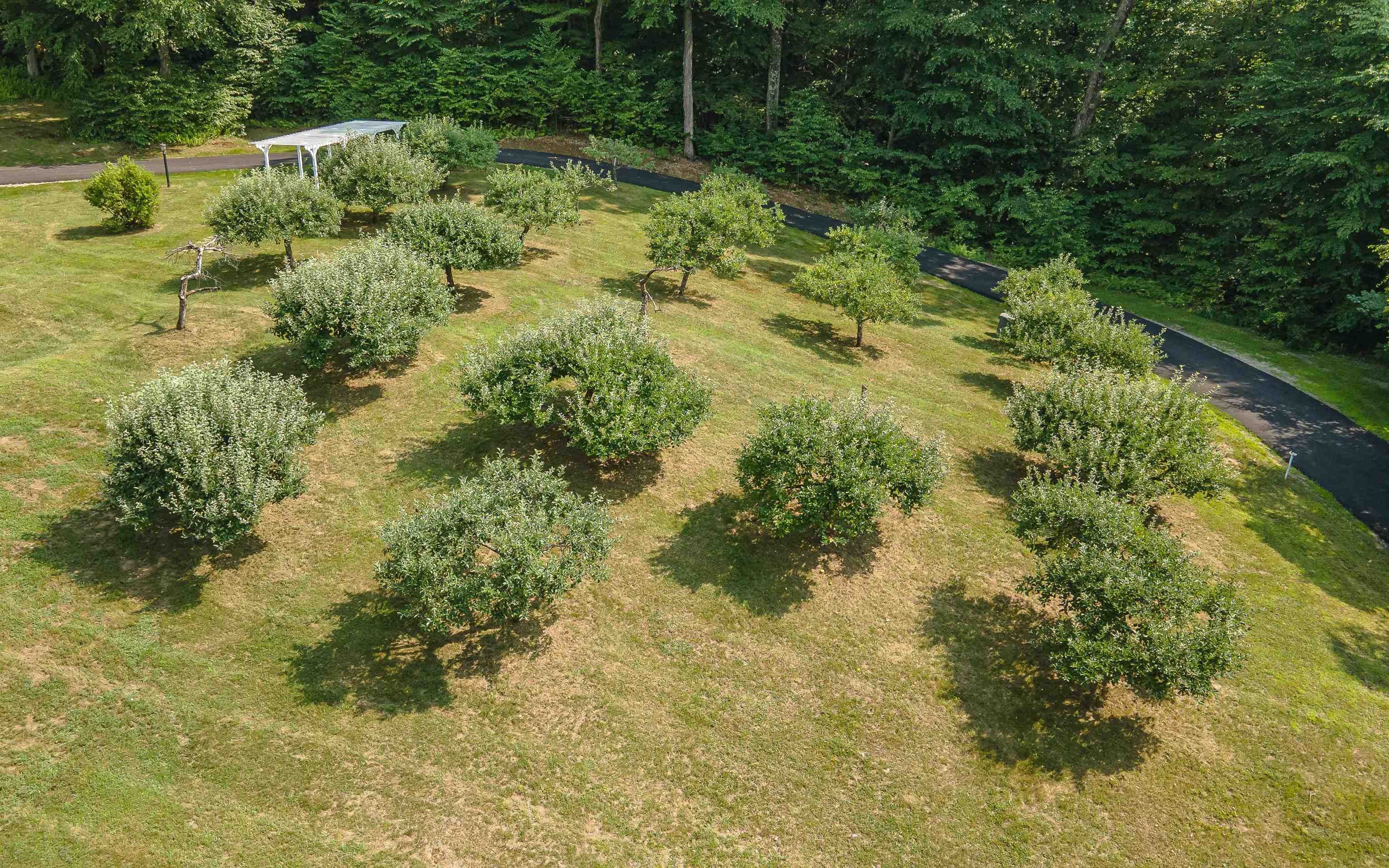 3 Apple Hill Road Chesterfield, NH 03466 - Photo 43 of 50 Gallery Image 43