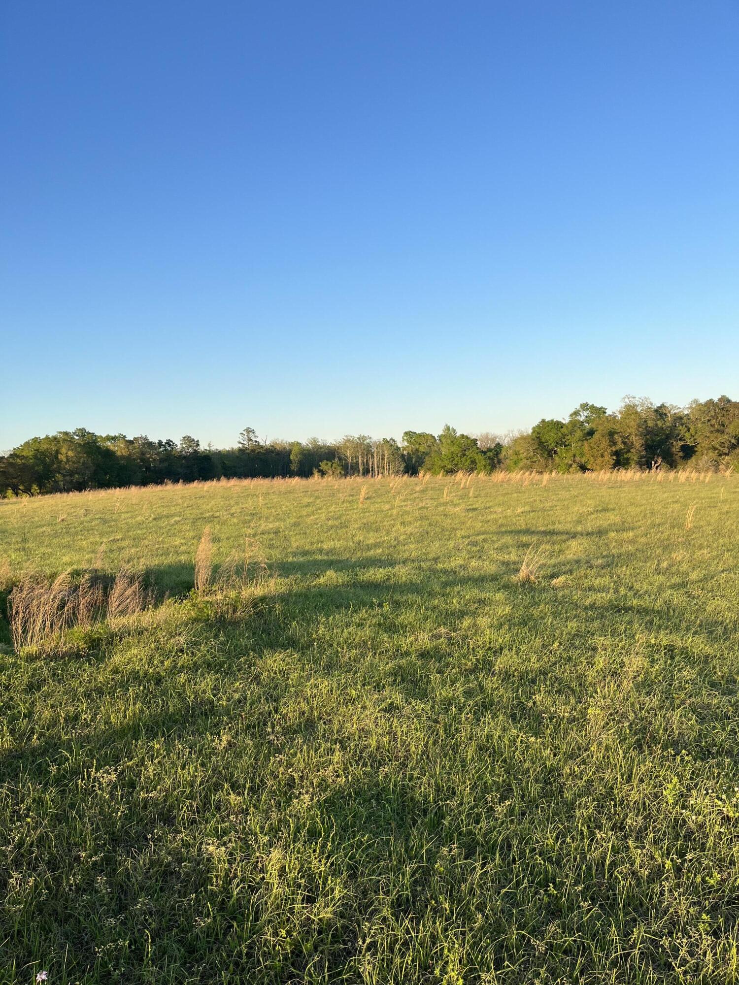 0 Welding Road Bonifay, FL 32425 - Photo 1 of 11 Separate Pastures