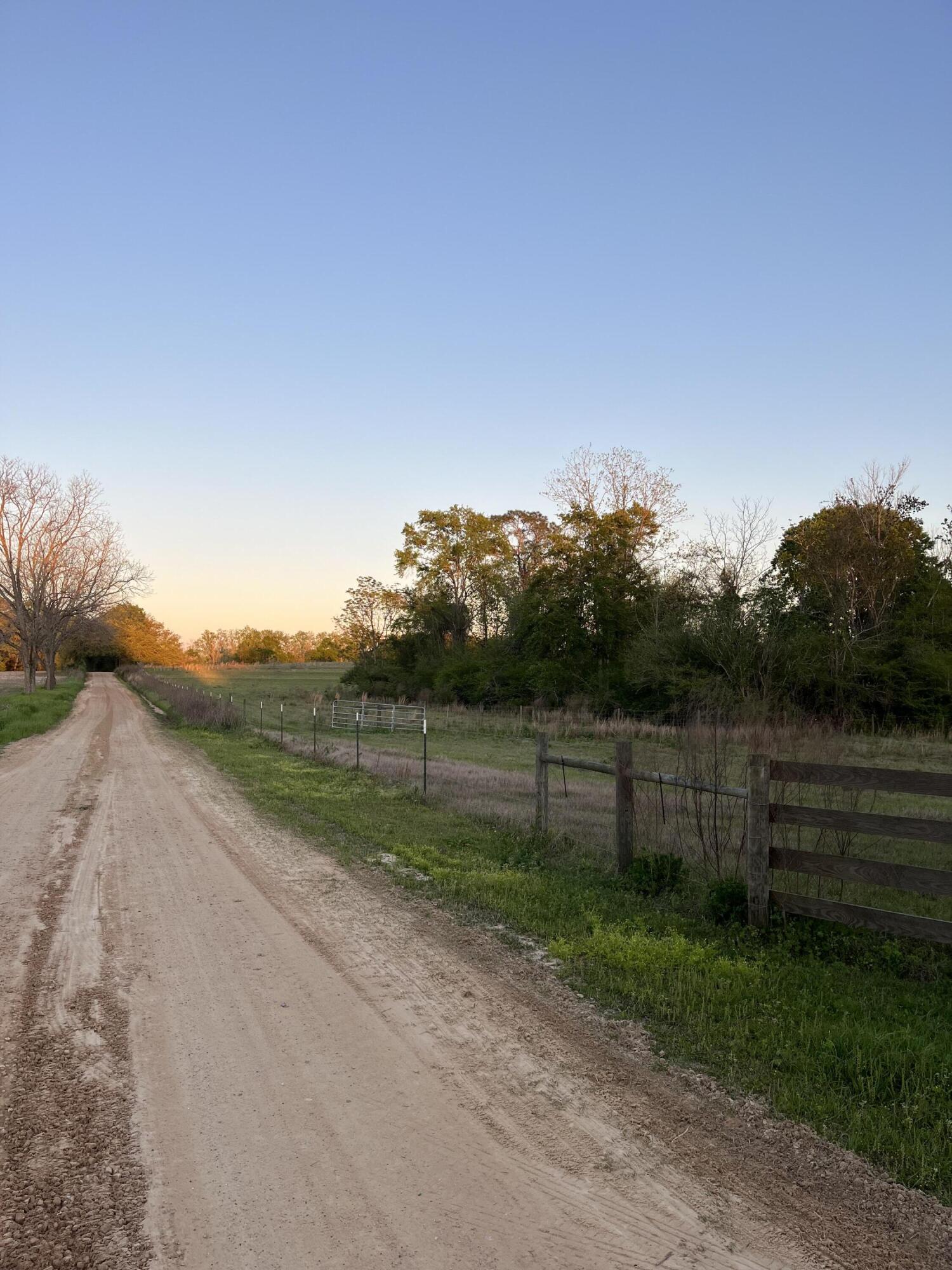0 Welding Road Bonifay, FL 32425 - Photo 4 of 11 Fenced
