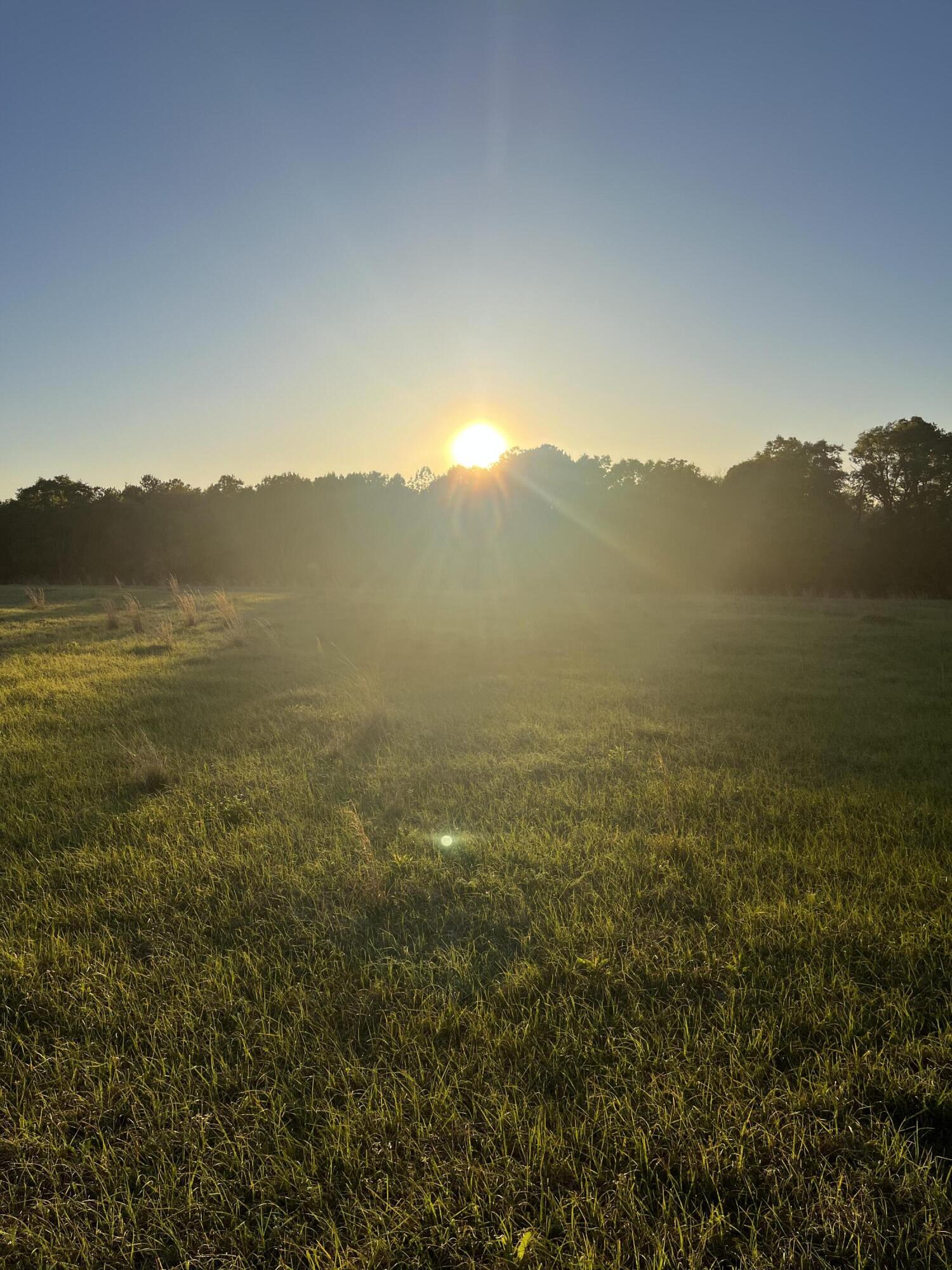 0 Welding Road Bonifay, FL 32425 - Photo 9 of 11 Sunsets