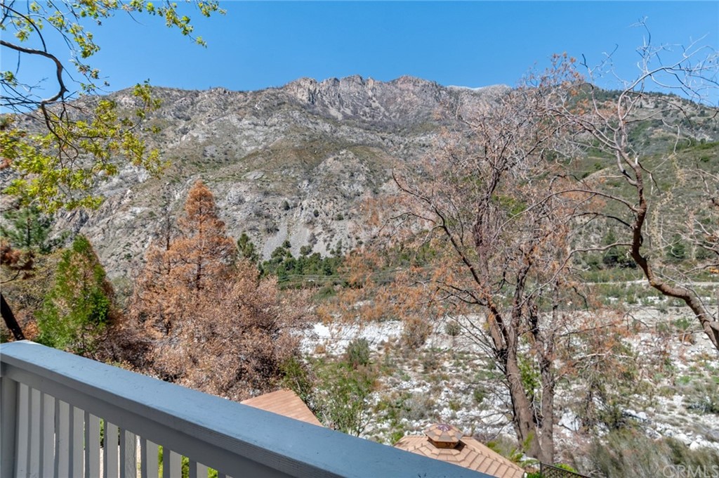 39478 Canyon Drive Forest Falls, CA 92339 - Photo 29 of 49