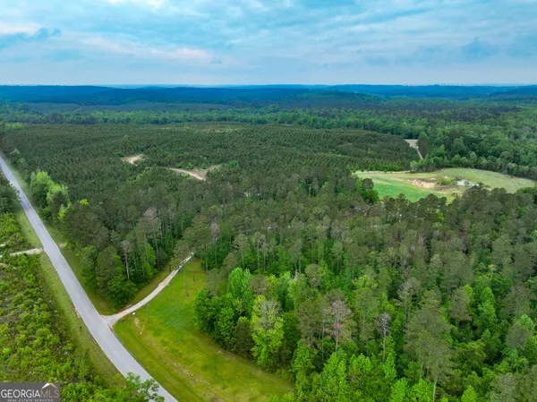 $2,500,000 | 6620 J R Sims Road, Irwinton, GA 31042