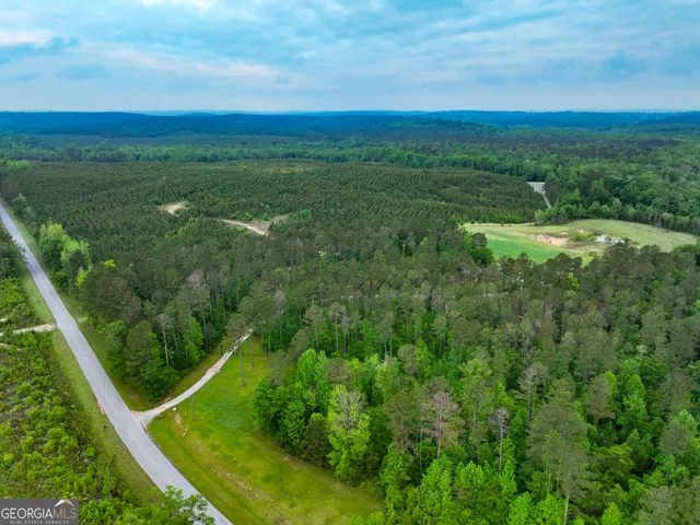 $2,600,000 | 6620 J R Sims Road, Irwinton, GA 31042