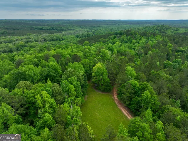 $2,600,000 | 6620 J R Sims Road, Irwinton, GA 31042