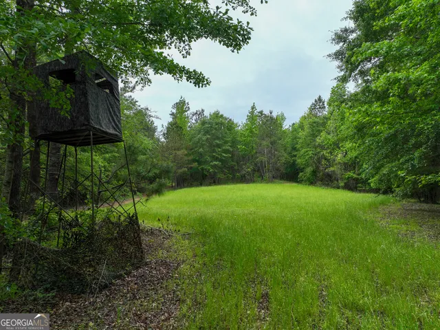 $2,600,000 | 6620 J R Sims Road, Irwinton, GA 31042