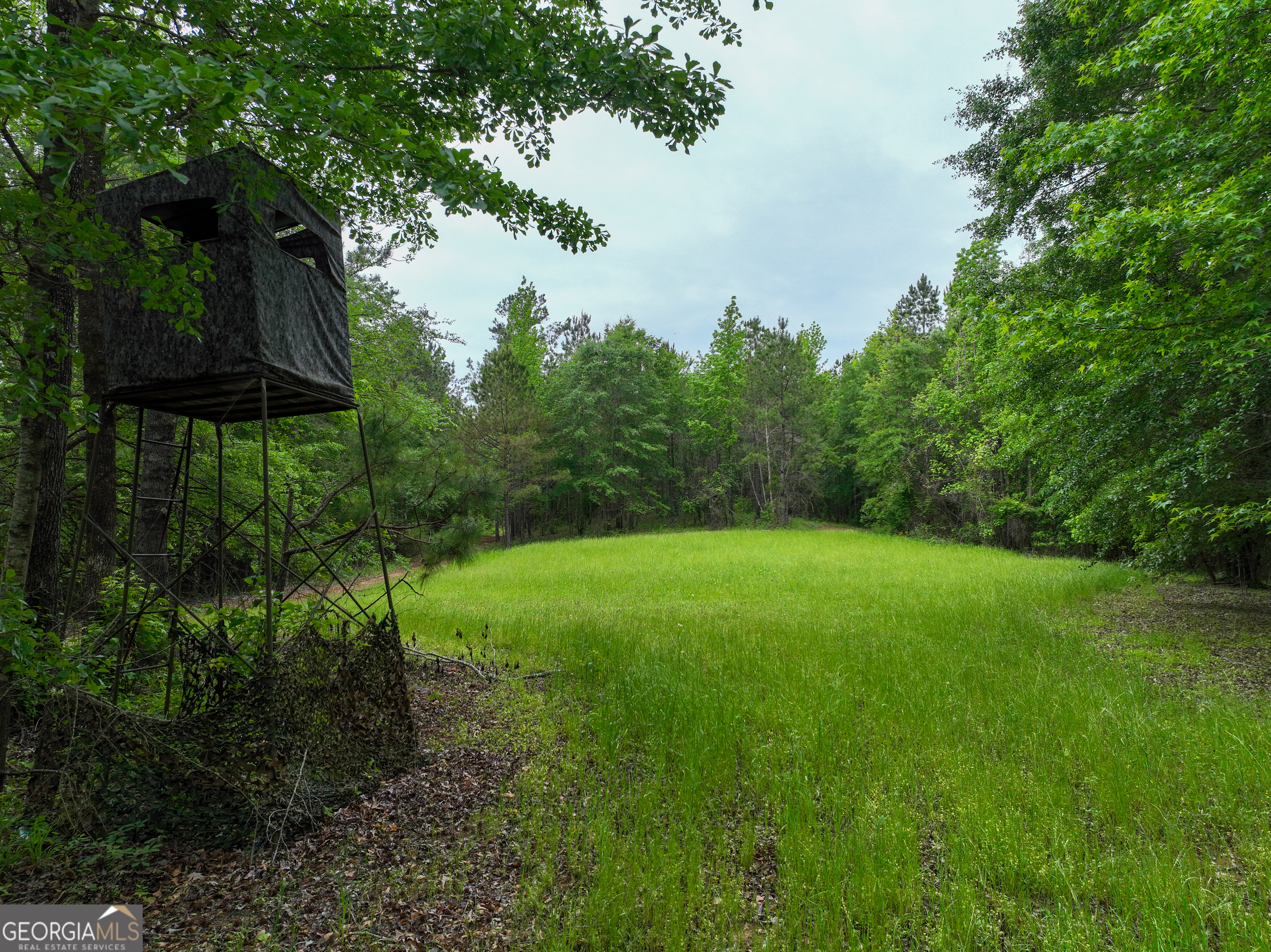 6620 J R Sims Road Irwinton, GA 31042 - Photo 12 of 83