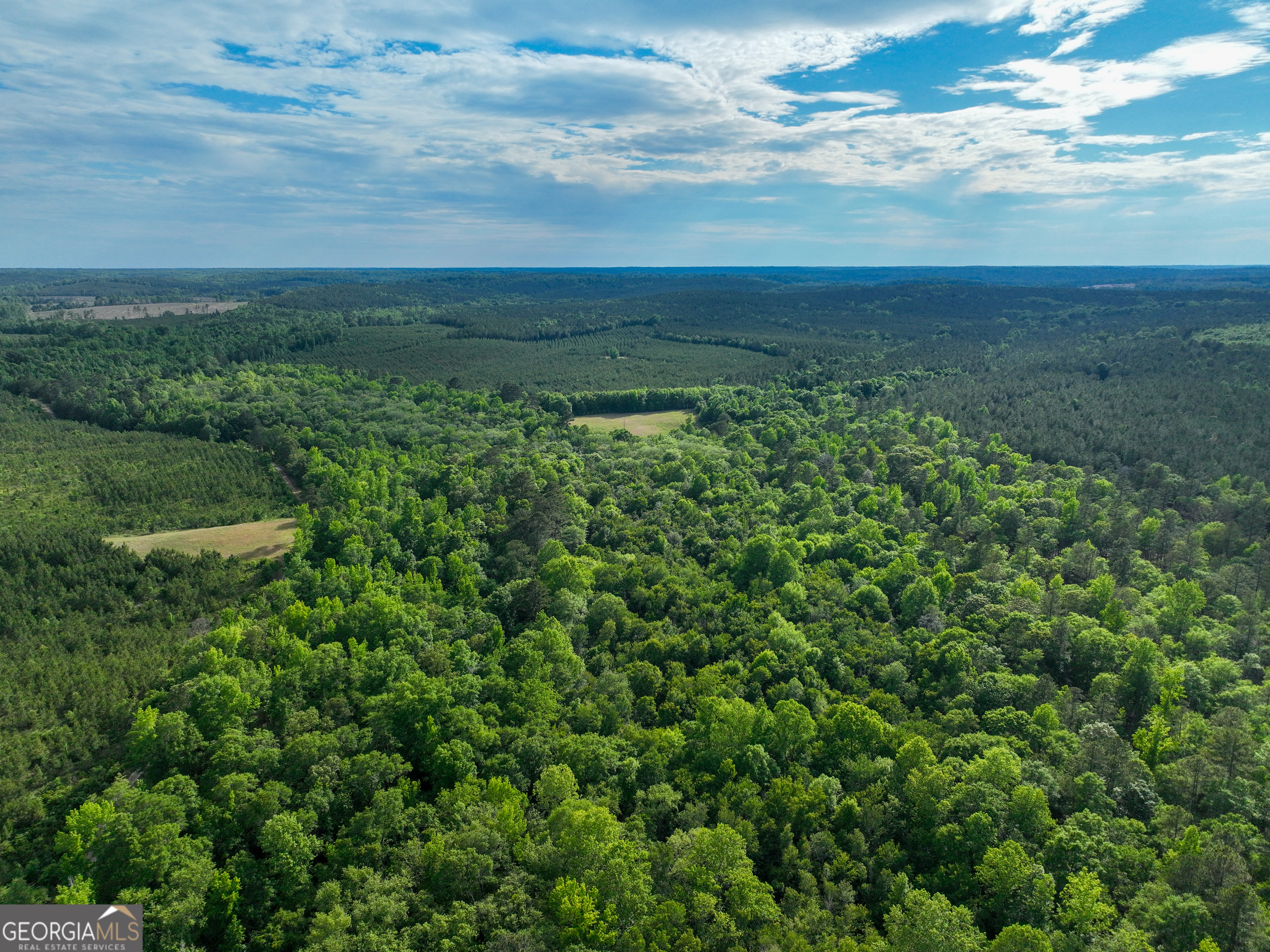 6620 J R Sims Road Irwinton, GA 31042 - Photo 13 of 83