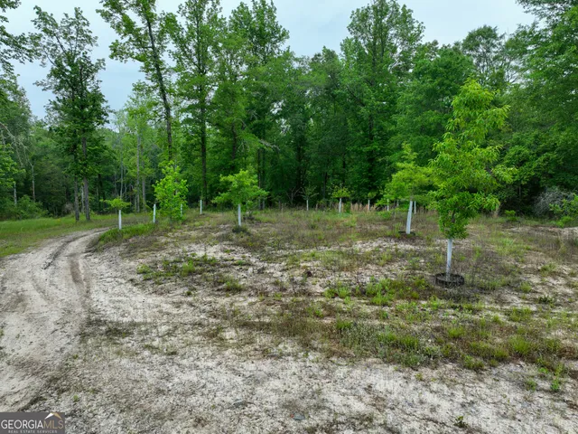 $2,600,000 | 6620 J R Sims Road, Irwinton, GA 31042