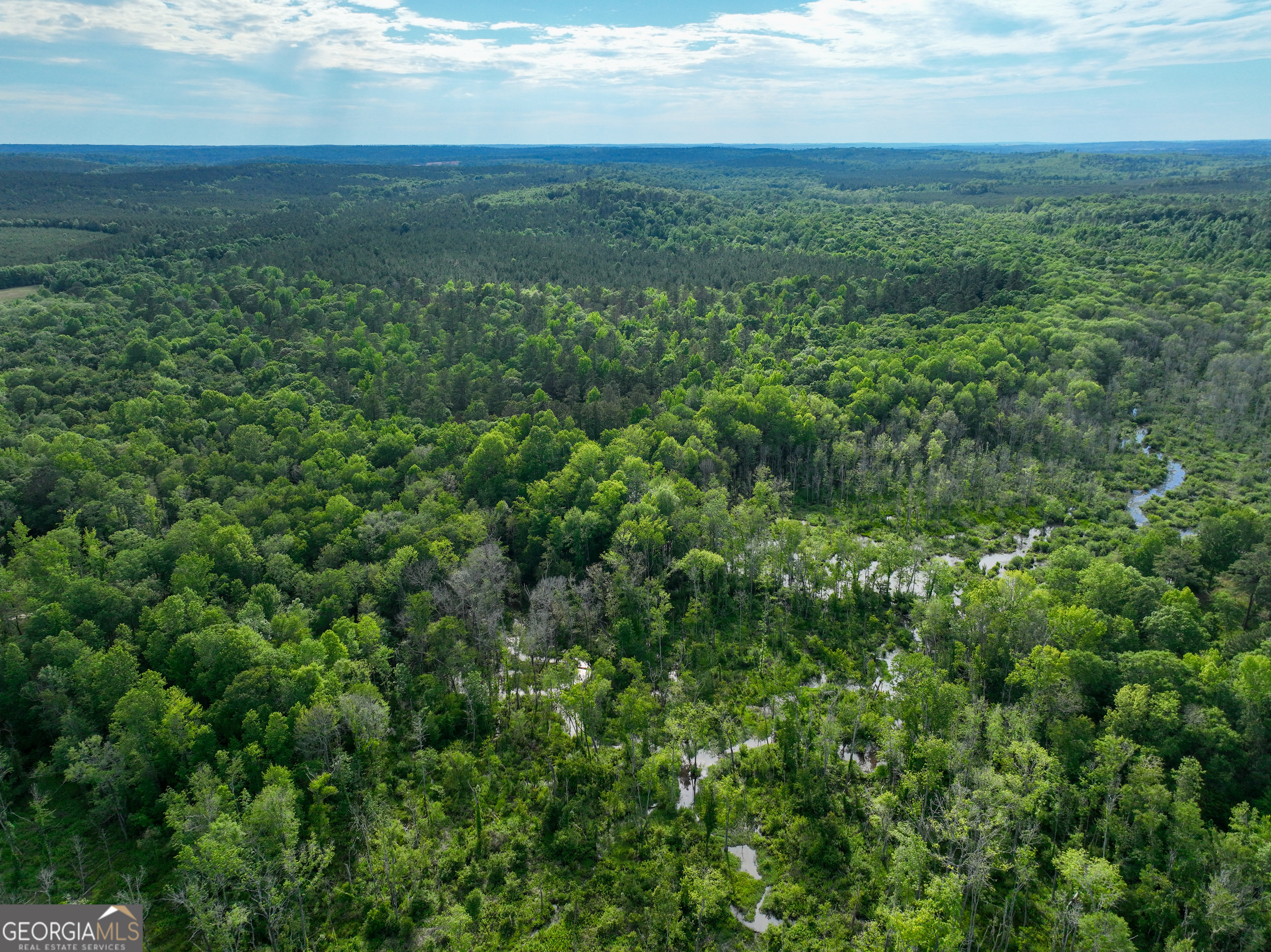 6620 J R Sims Road Irwinton, GA 31042 - Photo 2 of 83