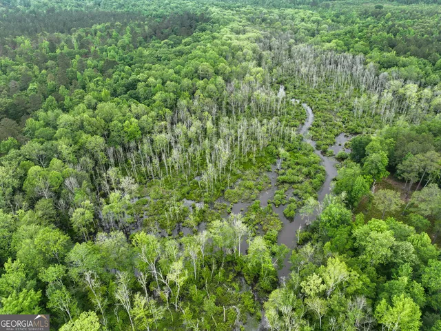 $2,600,000 | 6620 J R Sims Road, Irwinton, GA 31042