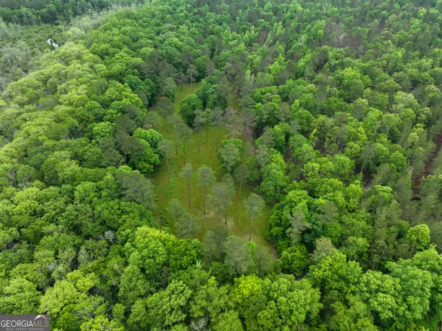 $2,600,000 | 6620 J R Sims Road, Irwinton, GA 31042