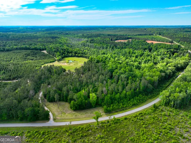 $2,600,000 | 6620 J R Sims Road, Irwinton, GA 31042